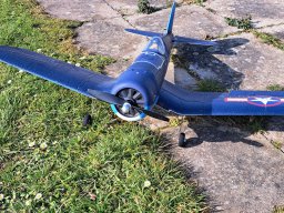 fliegen0803 6